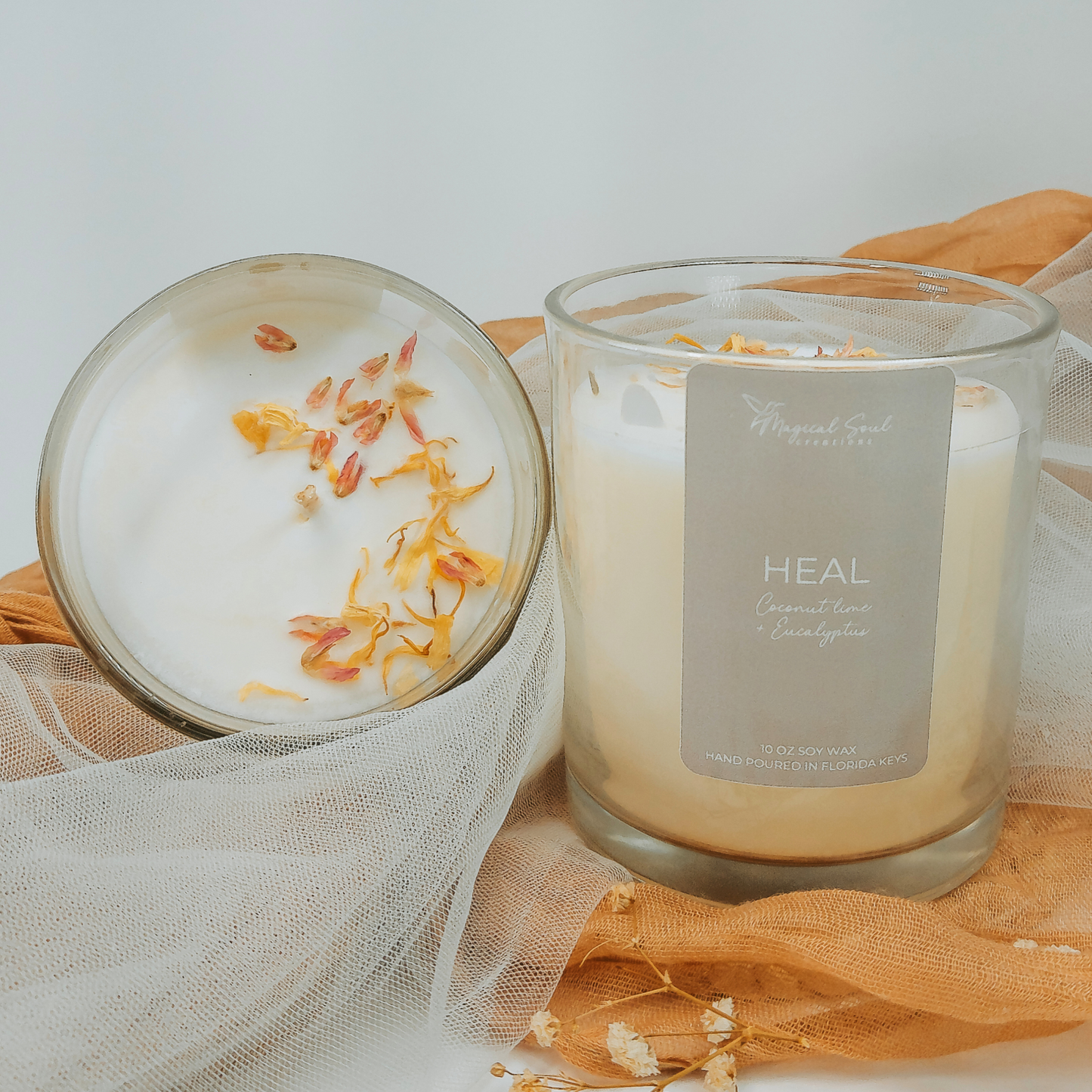 HEAL: For Your Healing Journey